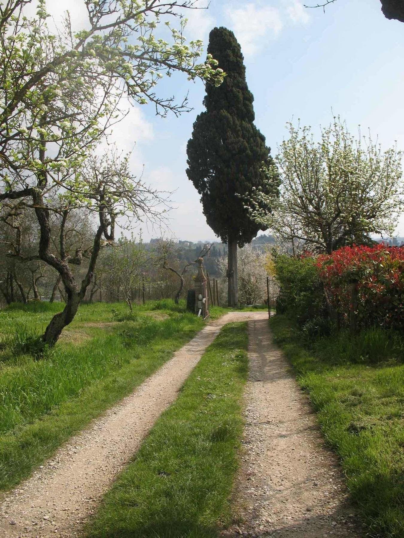 Agriturismo La Torretta Costalpino Exteriör bild