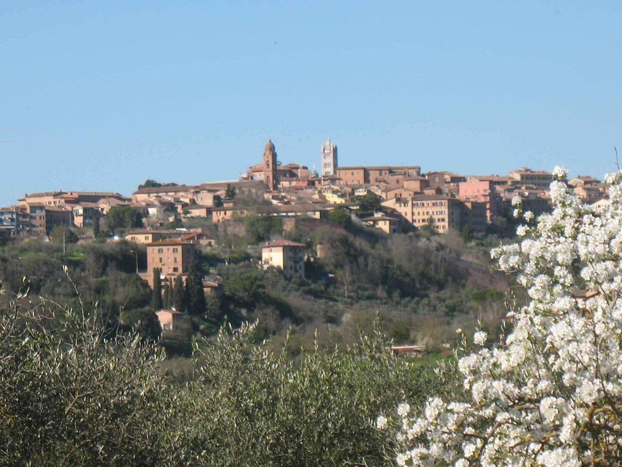 Agriturismo La Torretta Costalpino Exteriör bild