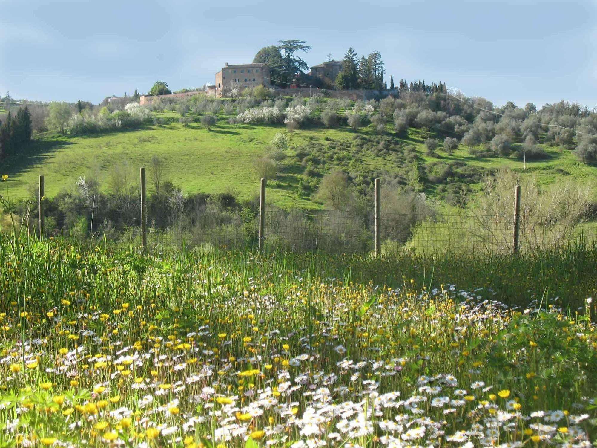 Agriturismo La Torretta Costalpino Exteriör bild